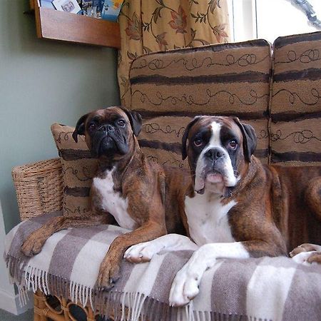 Drynachan Bed & Breakfast Inverness Esterno foto