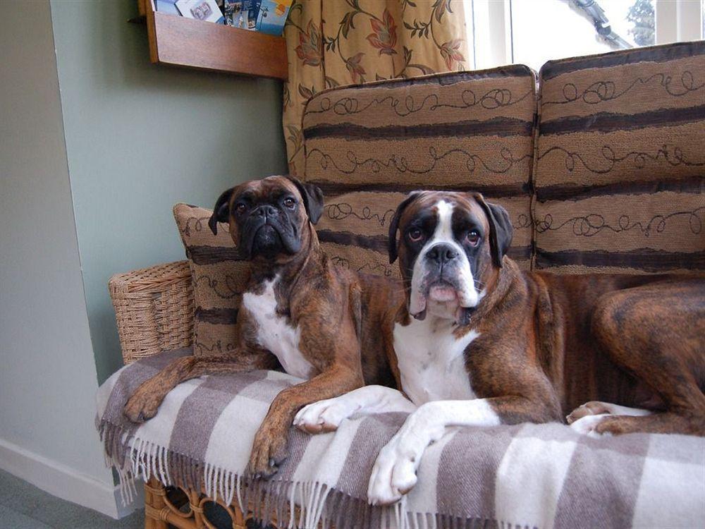 Drynachan Bed & Breakfast Inverness Esterno foto